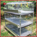 Hähnchen Farm Broiler Rate verwendet für Baby Chick Cage